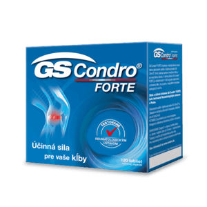 GS Condro Forte 120 tbl
