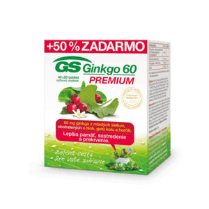 GS Ginkgo 60 Premium 40+20 tbl