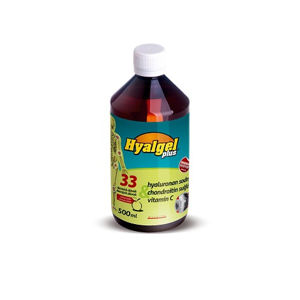 Hyalgel Plus pomarančová príchuť 500 ml